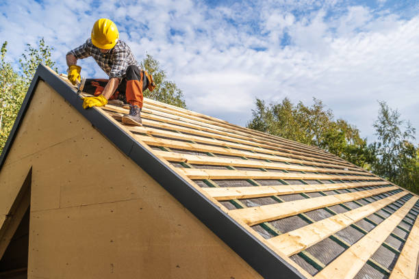 Roof Gutter Cleaning in Caoncito, NM